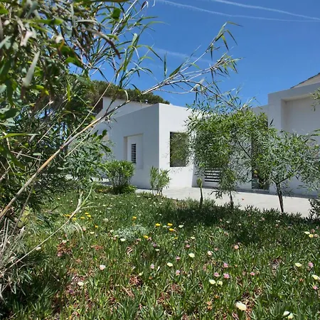 D'architecte Pieds Dans L'eau 800m Parc Galea * Figareto