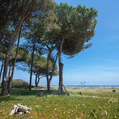 Villa D'architecte Pieds Dans L'eau 800m Parc Galea Figareto