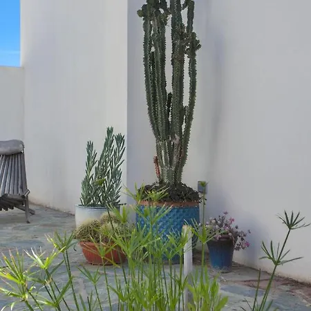 Villa D'architecte Pieds Dans L'eau 800m Parc Galea