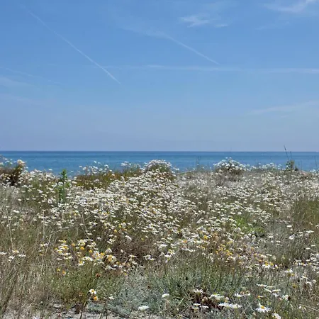 Villa D'architecte Pieds Dans L'eau 800m Parc Galea
